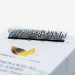 Extensiones De Pestañas Fibras Tecnológicas YY 4D -Pestanas Accesorios 04062024 FG1A9800 Mejorado NR Editar