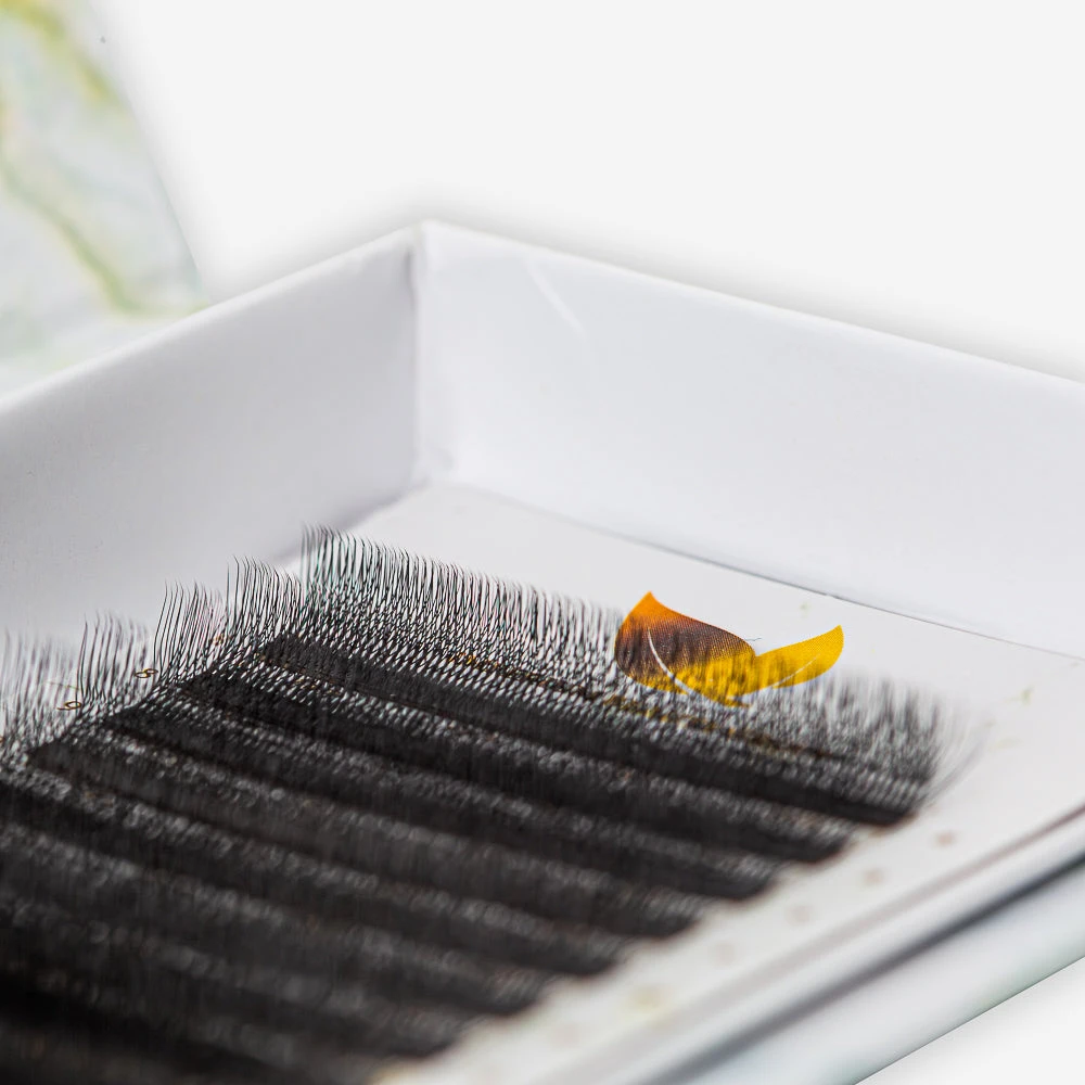 Extensiones De Pestañas Fibras Tecnológicas W 6D 2 Extensiones De Pestañas Fibras Tecnológicas W 6D - Imagen 2