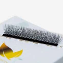 Extensiones De Pestañas Fibras Tecnológicas W 4D -Pestanas Accesorios 04062024 FG1A9808 Mejorado NR Editar