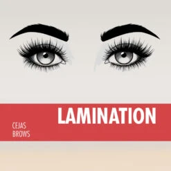 Kit Para Laminación De Cejas - Thuya -Pestanas Accesorios KitLaminacion3