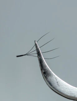 Extensiones De Pestañas Fibras Tecnológicas W 4D -Pestanas Accesorios sesionconvictoria 49